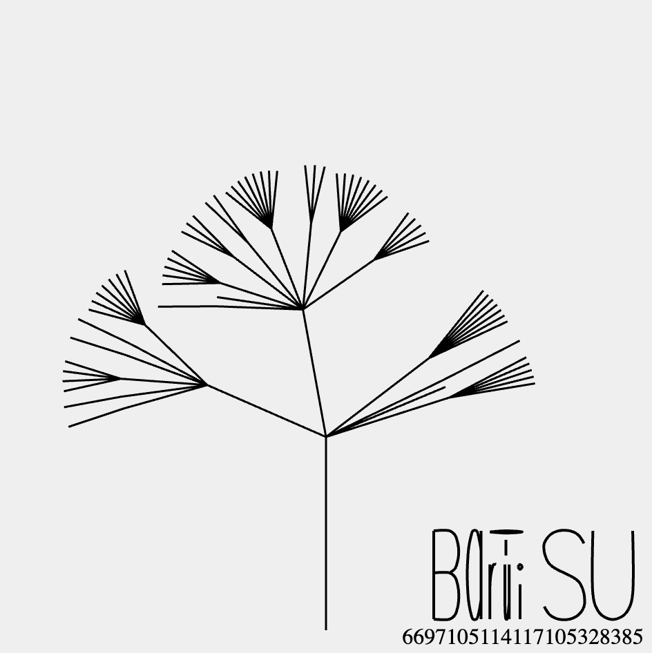Bairui v1