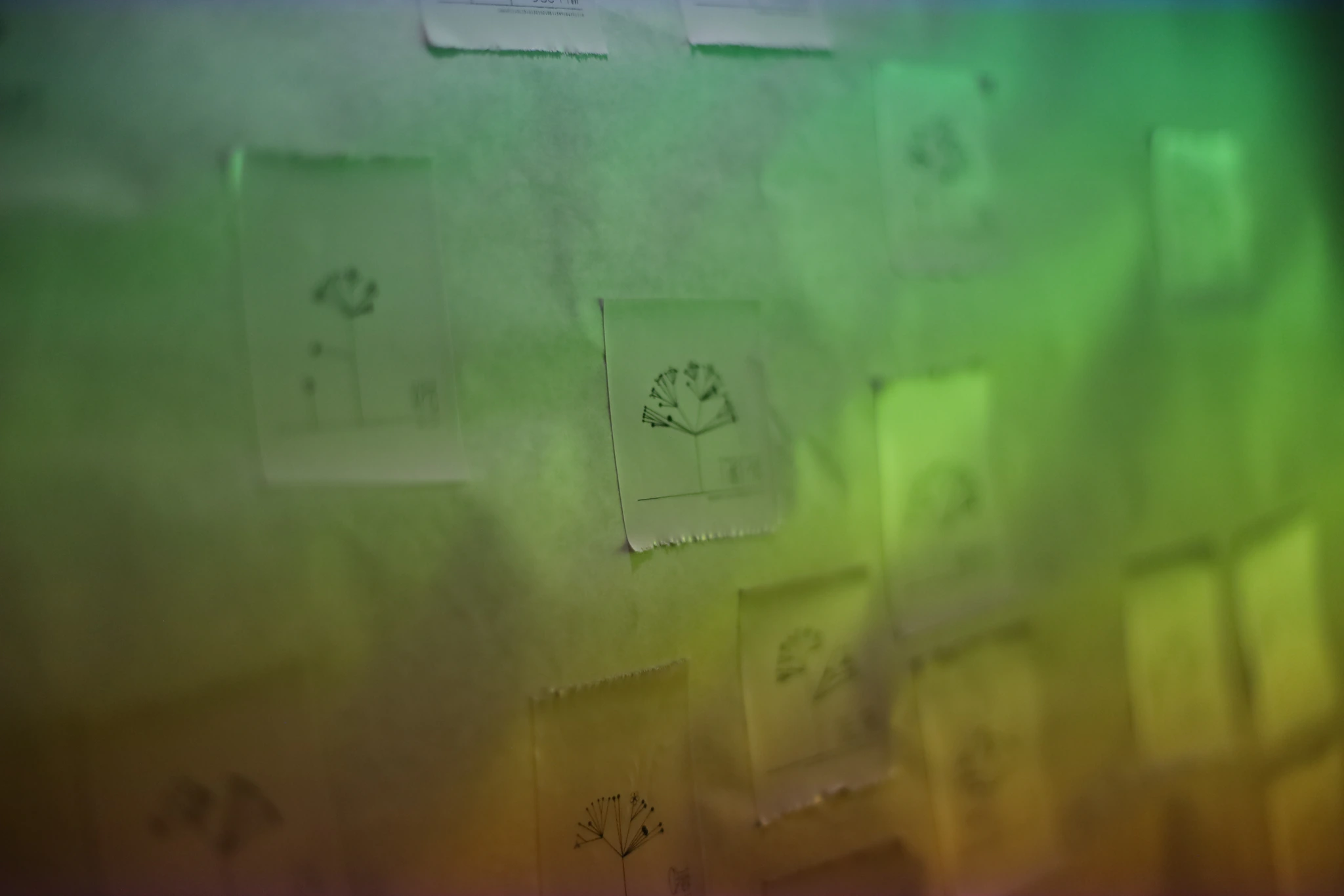 Wall 2